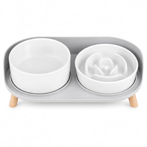Elevated Slow Feeder Dog Bowls - Ceramic Food and Water Bowl Set with Stand - Raised Pet Dishes for Small and Medium Sized Dogs - color: White