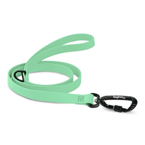 DogTraxs Essential Biothane Dog Leash, Mint Green, 3/4 in x 3 ft | Waterproof, For Large, Medium, Small Dogs, Dog Training, Locking Carabiner - color: Mint Green, size: 3/4 In x 3 Feet