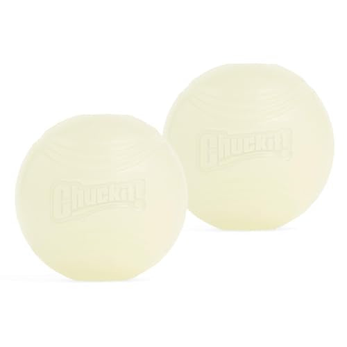 Chuckit! Glow in the Dark Bouncy Balls - Ball for Dogs, Chuckit Dog Toy, Max Glow Balls - Medium, 2.5 Inch Pack of 2 - size: Medium