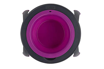 Dexas Pets Single Elevated Pet Feeder/Pet Bowl, 4 Cup Capacity, Fuchsia, Large/4 Cup Capacity - color: Fuchsia, size: Large/4 Cup Capacity