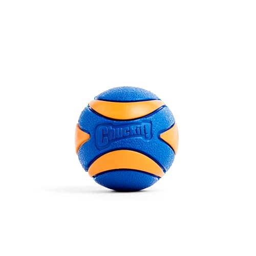 Chuckit! Ultra Squeaker Dog Ball, Fetch Toy, Medium, 1 Pack - size: Medium (1 Pack), style: Squeaker