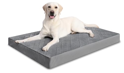 NUPIDA Orthopedic Dog Beds Large Sized Dog Waterproof Lining with Removable Washable Cover and Non-Slip Bottom, Quilting Pet Bed, 35x23 Inch, Dark Gray - color: Dark Gray, size: 35.0"L x 22.0"W x 3.0"Th