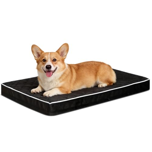 NUPIDA Orthopedic Dog Beds Large Sized Dog Waterproof Pet Kennel Pad with Removable Washable Cover and Non-Slip Bottom, 35x23 Inch, Black - color: Black, size: 35.0"L x 22.0"W x 3.0"Th