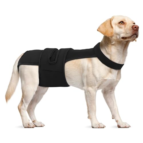 Dog Diapers Female Reusable Washable Period Diaper with Suspender,Adjustable Dog Panties Anti-Harassment, Doggie Diapers for Incontinence, Heat Cycles, or Senior Dogs（XS-XL - color: Black, size: L
