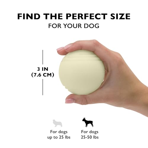 Chew King by Mammoth Set of 2 Glowing Fetch Ball, Durable Bouncy Interactive Toy for Pets & Dogs, Lightweight, 3 Inch, Fits Ball Launcher - color: 2-Pack (3" Balls)