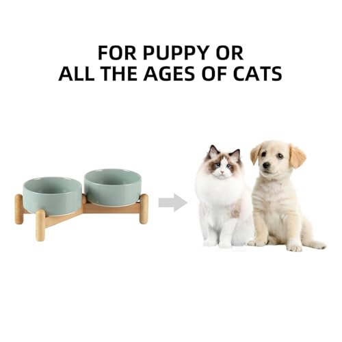 Havniva 5.1inch Ceramic Raised Dog Bowl with Stand, Double Dog Bowls Elevated for Small Breed Dog Food and Water Bowl Set Non-Slip Dog Dish Large Capacity Feeding Pet Water Bowl - color: 2 Bowls+Stand - Light Green, size: 5.1inch