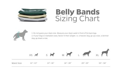 Pet Parents® Washable Belly Bands for Male Dogs (3pack) + Extendrs® of Durable Dog Diapers Male, Premium Male Dog Diapers & Dog Wraps (X-Small, Spruce) - color: Spruce, size: X-Small (11-13")