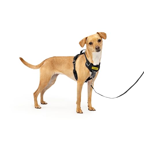 PetSafe Easy Walk Comfort No-Pull Dog Harness Full-Body Padding - Better Walks on the First Use - 5 Points of Adjustment X-Small, Black - color: Black, size: Extra Small