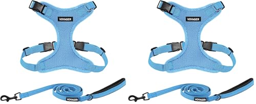Voyager Step-in Lock Dog Harness w Reflective Dog Leash Combo Set with Neoprene Handle 5ft - Supports Small, Medium and Large Breed Puppies/Cats by Best Pet Supplies - Baby Blue, L (Pack of 2) - color: Harness Leash Set (Baby Blue), size: L (Chest: 20 - 2