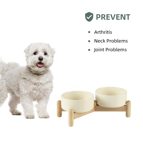 Havniva 5.1inch Ceramic Raised Dog Bowl with Stand, Double Dog Bowls Elevated for Small Breed Dog Food and Water Bowl Set Non-Slip Dog Dish Large Capacity Feeding Pet Water Bowl - color: 2 Bowls+Stand - Light Yellow, size: 5.1inch