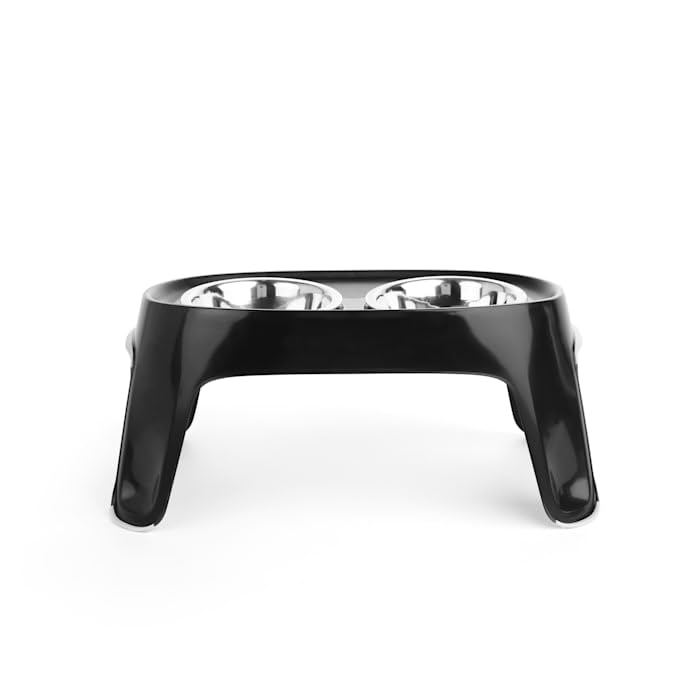 EveryYay by Petco Dining in Elevated Double Diner Dog Feeder 4 Cups