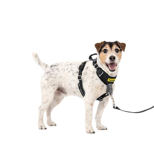 PetSafe Easy Walk Comfort No-Pull Dog Harness Full-Body Padding - Better Walks on the First Use - 5 Points of Adjustment Small, Black - color: Black, size: Small