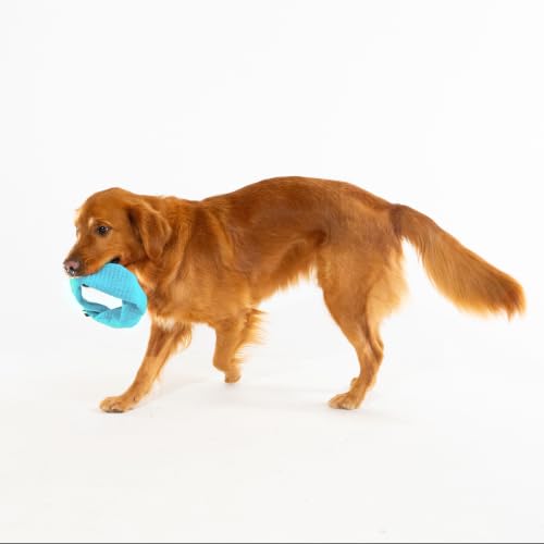 Playology Dog Toys | Plush Toy Crinkle Ring for Large Dogs | Peanut Butter Scented Jumbo Plush Chew Toy - size: Jumbo Ring, style: Peanut Butter