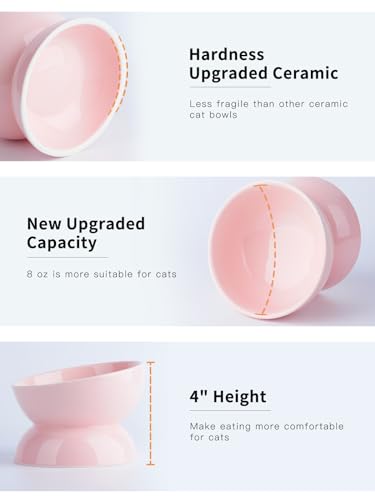 ABRUTY Cat Water Bowl, 16 OZ Ceramic Elevated Cat Bowls, 15° Tilted and Raised Pet Food Dish, Anti Vomiting Protect Pets' Spines and Whisker Fatigue - color: Pink, size: 1 Pack