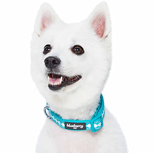 Blueberry Pet 3 Colors 3M Reflective Jacquard Neoprene Padded Adjustable Dog Collar, Peacock - color: Polyester Buckle- Peacock, size: Small