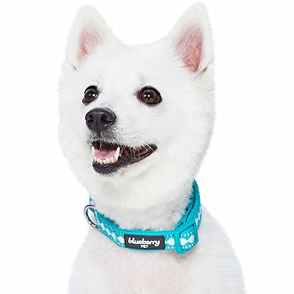 Blueberry Pet 3 Colors 3M Reflective Jacquard Neoprene Padded Adjustable Dog Collar, Peacock - color: Polyester Buckle- Peacock, size: Small