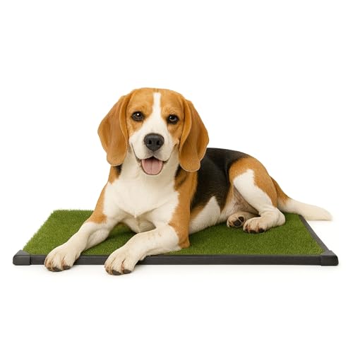 Artificial Grass Puppy Pee Pad for Dogs and Small Pets - 20x25 Inch, Reusable 3-Layer Turf Pads for Dogs with Tray - Indoor and Outdoor Fake Grass Potty Pet Supplies by PETMAKER - size: Medium 3-Layer System