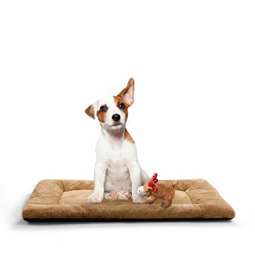 Dog Beds Crate Pad for Medium Dogs Fit Metal,Ultra Soft, Washable & Anti-Slip Kennel Pad for Dogs Cozy Sleeping Mat,Camel 30inch - color: Camel, size: 30.0"L x 19.0"W x 1.0"Th
