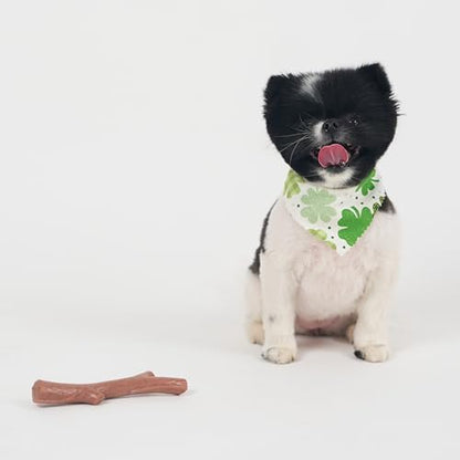 SPOT Bam-Bones Plus Branch -Bamboo Fiber & Nylon, Durable Long Lasting Dog Chew for Aggressive Chewers – Great Toy for Adult Dogs & Teething Puppies Under 60lbs, Non-Splintering, 5.75in, Beef Flavor - size: 5.75 inch (Pack of 1)