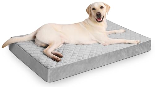 NUPIDA Orthopedic Dog Beds for Extra Large Dogs, 47x29 Inch, Light Gray | Waterproof, Removable Machine Washable Cover with Zipper, Non-Slip Bottom, Egg Crate Foam, Cozy Velvet, Fit Dog Crate kennel - color: Light Gray, size: 47.0"L x 29.0"W x 4.0"Th