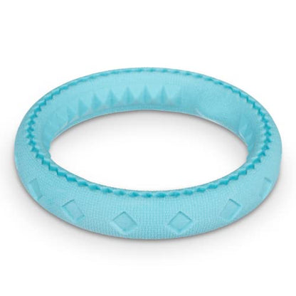 Messy Mutts Totally Pooched Chew n' Tug Ring | TPR Dog Toy | Made for Tough Chewers | Tough Fetch Ring for Dogs | 6.5” | Teal