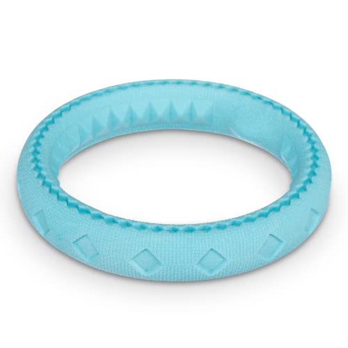 Messy Mutts Totally Pooched Chew n' Tug Ring | TPR Dog Toy | Made for Tough Chewers | Tough Fetch Ring for Dogs | 6.5” | Teal