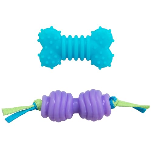 Chew Dog Toys for Teething Puppies & Small Dogs up to 15 lbs, Multi-Texture Dental Support, Bounces & Floats, Moderate Chewers, 2-Pack, 5" - size: Mini (Pack of 2)