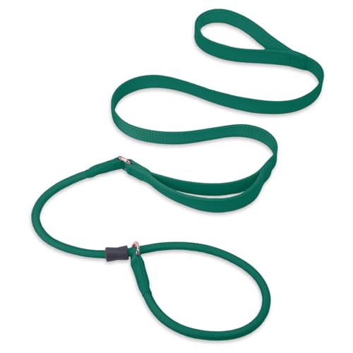Slip Lead Dog Leash, Dog Training Leash with Double Handle, Soft Leather Slip Leash and Collar, Heavy Duty Nylon Dog Lead, No Pull Walking for Medium Large Small Dogs 5ft Dark Green - color: Dark Green, size: 5ft