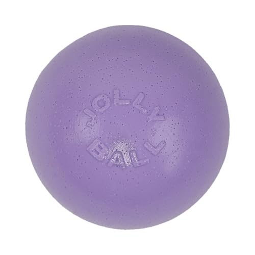 Jolly Pets Bounce-n-Play Dog Toy Ball, 4.5 Inches/Small, Light Purple - color: Light Purple, size: Small (4.5 in)