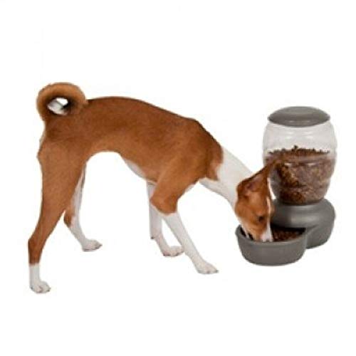 Petmate Replendish Gravity Feeder for Cats and Dogs, 4 Sizes Available, Mason Silver, 18 lb (24497) - color: Green, size: 18 LB