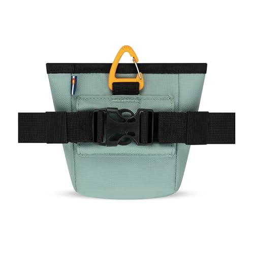 OllyDog, Goodie Treat Bag, Dog Treat Training Pouch | Magnetic Closure | 3 Ways to Wear | Hands-Free Waist Belt | Water-Resistant Recycled Vegan Fabric (Surf) - color: Surf