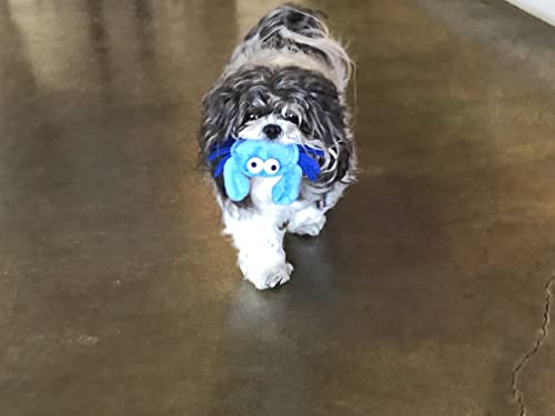 Glory To Dog TinyToy Blue Crab Plush Small Breed Dog Toy - style: Crab