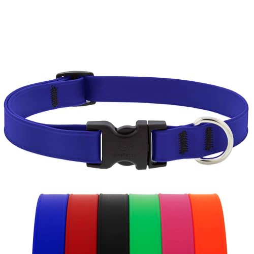 LupinePet Waterproof Splash Dog Collar, True Blue, 3/4-inch Wide, adjusts 9-14", Made with BioThane - color: True Blue, size: Small: Adjusts from 9 to 14 in, 3/4-in wide