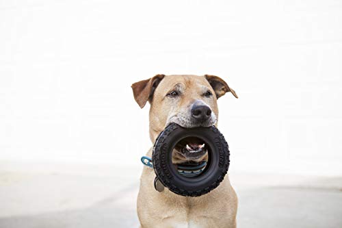 Mammoth TireBiterII – Natural Rubber Dog Toys for Extreme Chewers – Dog Toys for Extra Long Interactive Play – Aggressive Chewer Toys for Large - X-Large Dogs - X-Large 7” - size: X-Large 7", style: Tire