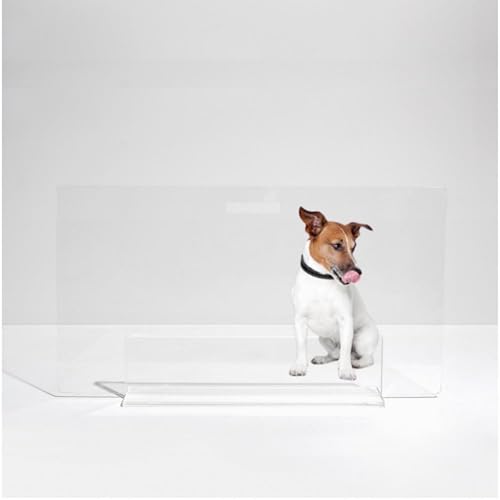 Hiddin Low Clear Freestanding Pet Gate – 32 Inch Wide Modern Acrylic Dog & Cat Barrier Panel – Transparent No-Installation Indoor Pet Fence for All Spaces – Stylish Home Safety Solution - size: 32" Width