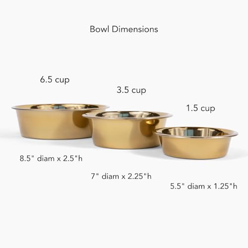 Hiddin Double Elevated Dog Bowl Stand for Medium or Large Dogs, All Breeds, Smoke Grey Acrylic 12 Inch Raised Dog Bowl Stand with Two Gold Bowls for Food and Water - 6.5 Cups Each Dish