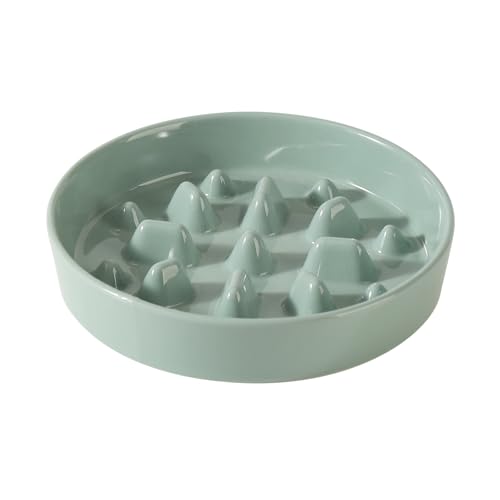 Havniva Ceramic Slow Feeder Dog Bowls, 1.6 Cups Dog Bowl Slow Feeding for Medium Breed, 8.2inch Puzzle Dog Food Bowl Slow Feeder Non-Slip Anti-Gulping and Anti-Choking Reduces Bloating - color: 1 x Light Green-C, size: 8.2inch
