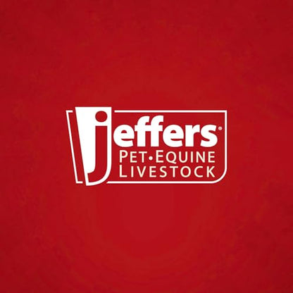 Jeffers Pet Heavy Weight Stainless Steel Pet Bowls for Dogs & Cats,16 oz – Durable Food & Water Dish, Non Slip, Rust Resistant, Dishwasher Safe Feeding Bowl for Home, Travel, Indoor & Outdoor