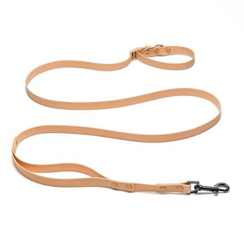 Heavy Duty Hands Free Dog Leash for Medium to Large Dogs for Comfortable Running Jogging Walking | Buckle Closure | Soft Padded Handle | 360 Rotating Carabiner (Leash Length 6 ft) - color: Beige