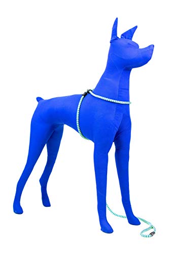 Harness Lead No Pull Dog Harness and Leash Set, Anti Pull Dog Harness, One-Piece Cushioned Rope Safely Prevents Escaping and Pulling (Medium/Large, Peacock/Blue/Lime) - color: Peacock (Blue/Lime)