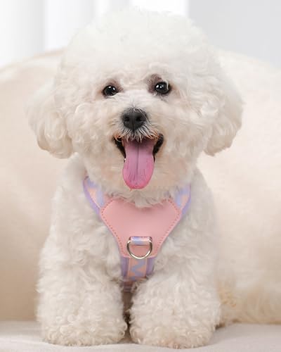 Petank Purple xs Dog Harness for Small Dogs, No Pull Dog Harness with 2 Leash Clips, Puppy Harness, Adjustable Dog Vest Harness (Purple, XS) - color: Purple, size: XS