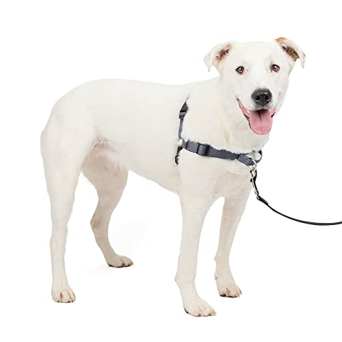 PetSafe Easy Walk Deluxe Dog Harness, No Pull Dog Harness – Perfect for Leash & Harness Training – Stops Pets from Pulling and Choking on Walks – Medium/Large, Steel - color: Steel, size: Medium/Large
