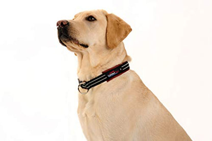 ComfortFlex Limited Slip Martingale Collar, Medium, Blue Jay | American made, designed, cut, assembled, sewn in USA, wide escape proof martingale design, premium padding, gentle control - color: Blue Jay, size: Medium