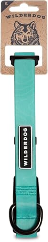 Wilderdog Waterproof Dog Collar - Repels Water & Dirt - Small 11"-15" - Seafoam - color: Seafoam, size: Small