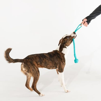 Playology Dog Toys | Tough Tug Knot for Puppies and Young Dogs | Peanut Butter Scented Medium Chew Toy Tug Rope | Tug of War Puppy Essentials - size: Medium, style: Peanut Butter