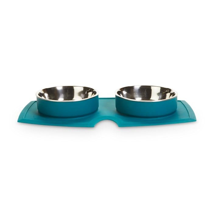 EveryYay by Petco Silicone Double Diner Stainless Steel Dog Bowl Set Teal 2 Cups - color: Teal
