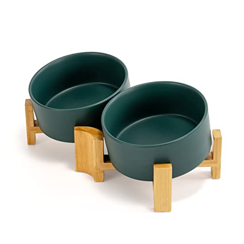 SPUNKYJUNKY 15° Slanted Ceramic Dog and Cat Bowl with Wooden Stand, Tilted Bulldog Food and Water Bowl No Slip Non-Spill for Cats Medium Dogs Big Face Pets 28.7 OZ (3.6 Cups, Green × 2) - color: Green, size: 3.6 CUPS × 2