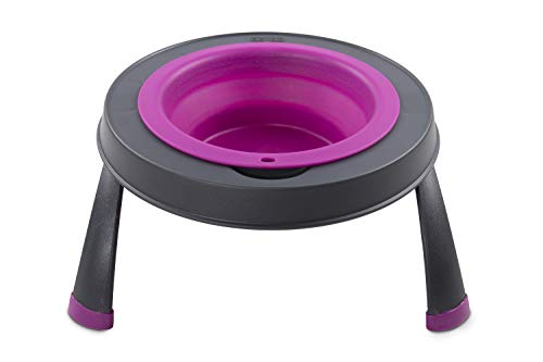 Dexas Pets Single Elevated Pet Feeder/Pet Bowl, 4 Cup Capacity, Fuchsia, Large/4 Cup Capacity - color: Fuchsia, size: Large/4 Cup Capacity
