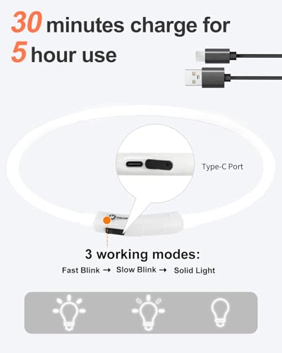 Joytale Light Up Dog Collar, Rechargeable Rainproof LED Collar for Night Walking Safety, Soft Silicone Glow in The Dark, Suitable for Small Medium Large Dogs, White - color: White