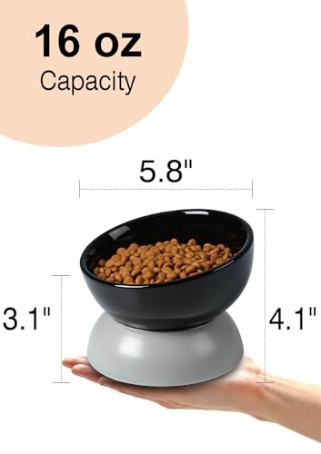 ABRUTY Cat Water Bowl, 16 OZ Ceramic Elevated Cat Bowls, 15° Tilted and Raised Pet Food Dish, Anti Vomiting Protect Pets' Spines and Whisker Fatigue, Black & Gray - color: Black & Gray, size: 1 Pack